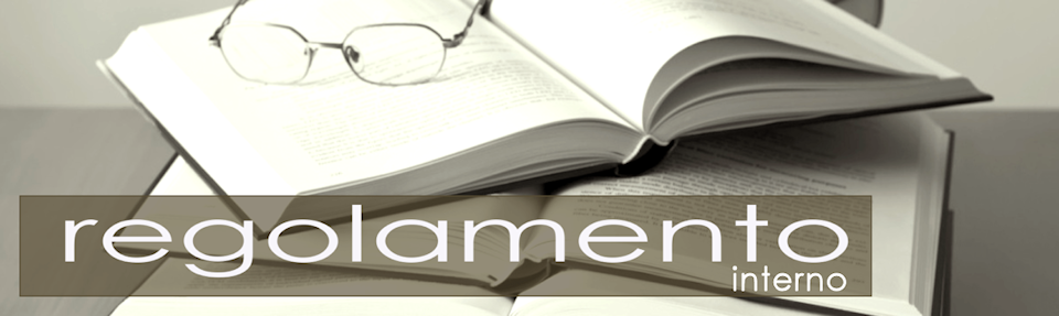 regolamento int